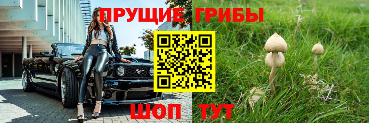 Галлюциногенные грибы Psilocybine cubensis Сердобск